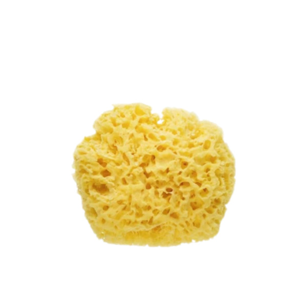 natural-sponge